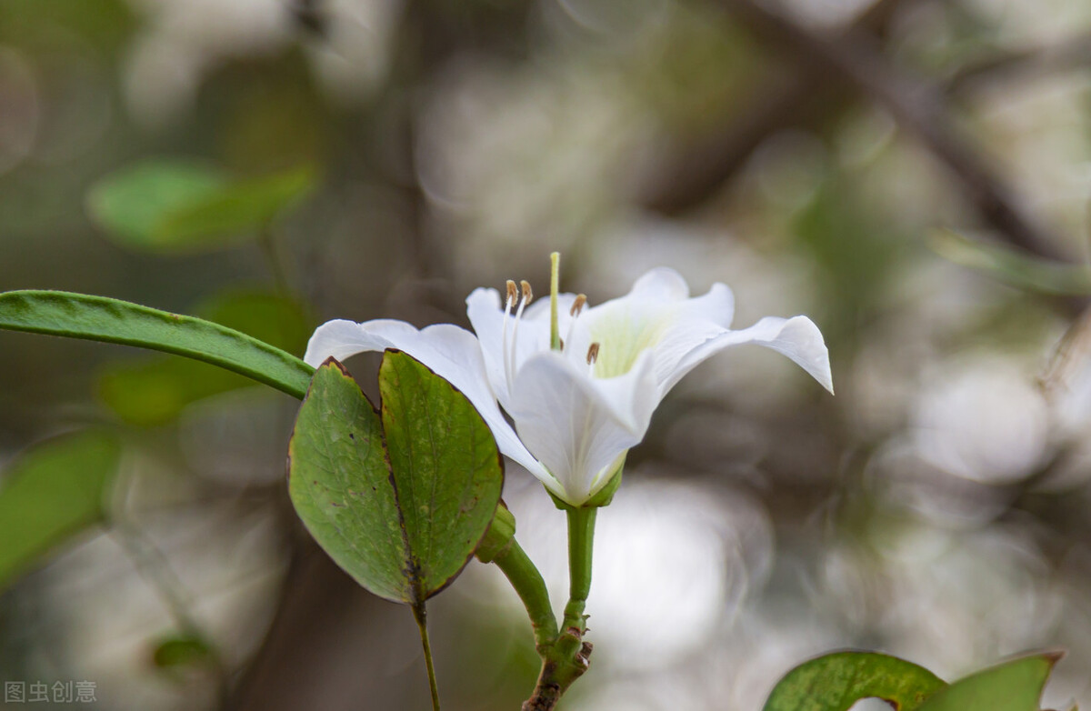清都的原创诗词，4年作品合集，用文字记录生活