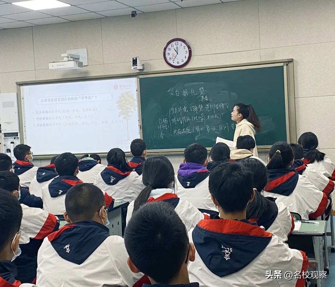 雏鹰展翅，乳虎啸谷！双中教师，书香尽染才露角，雄鹰定当凌绝顶