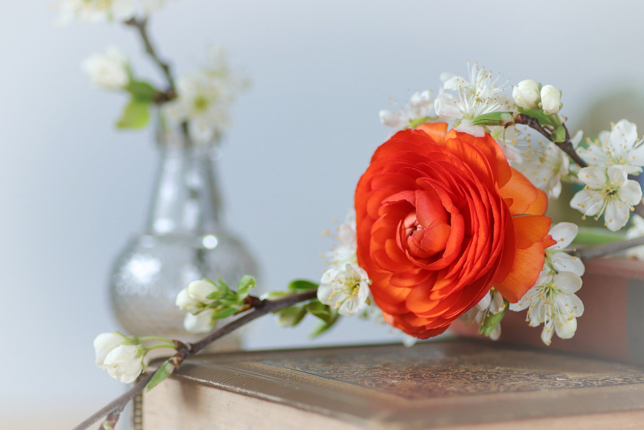 异性关系女生喜欢你的表现,据说女生喜欢上你会有这几种信号