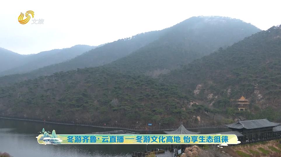 冬游齐鲁,冬游齐鲁泰安