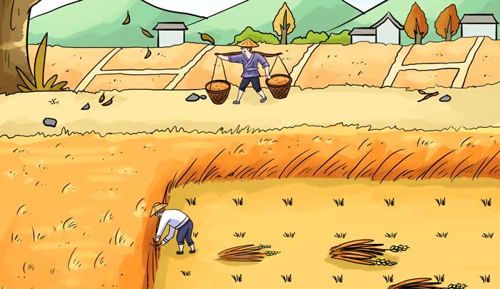 国学悯农古诗跟读,国学启蒙《悯农》