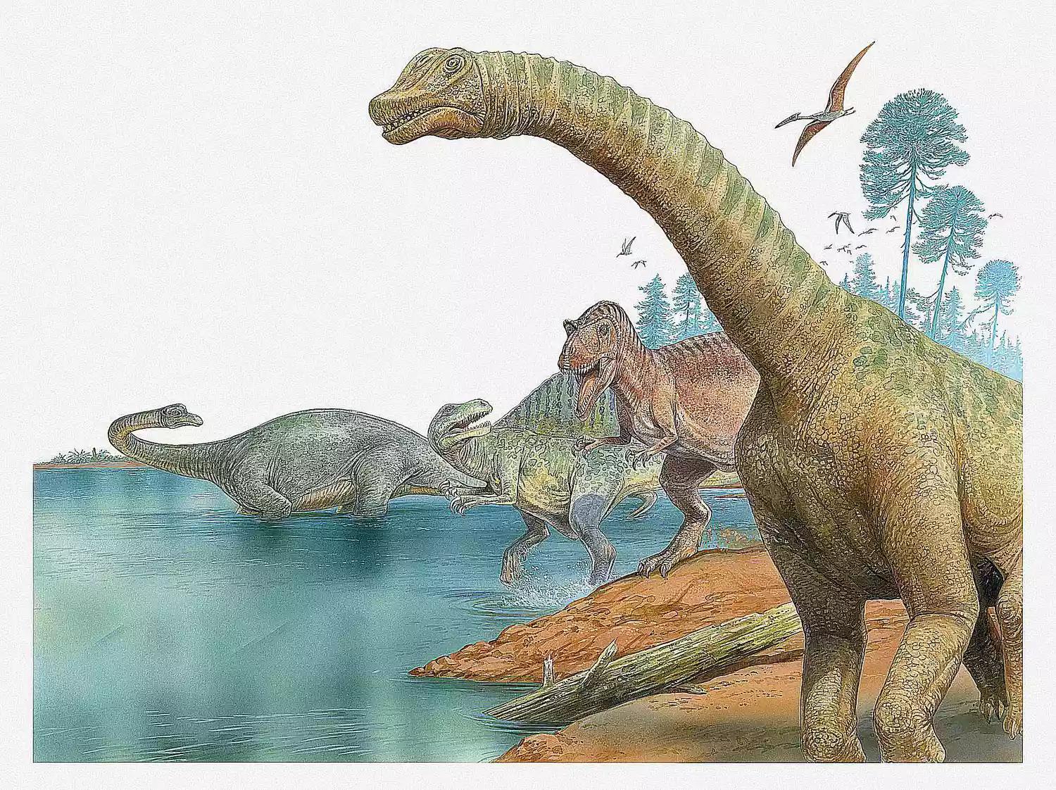 泰坦巨龙图片从哪来的,泰坦巨龙恐龙图片和简介