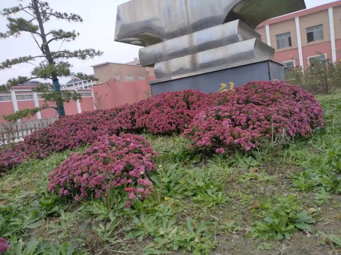 画与景,幼儿长卷画景