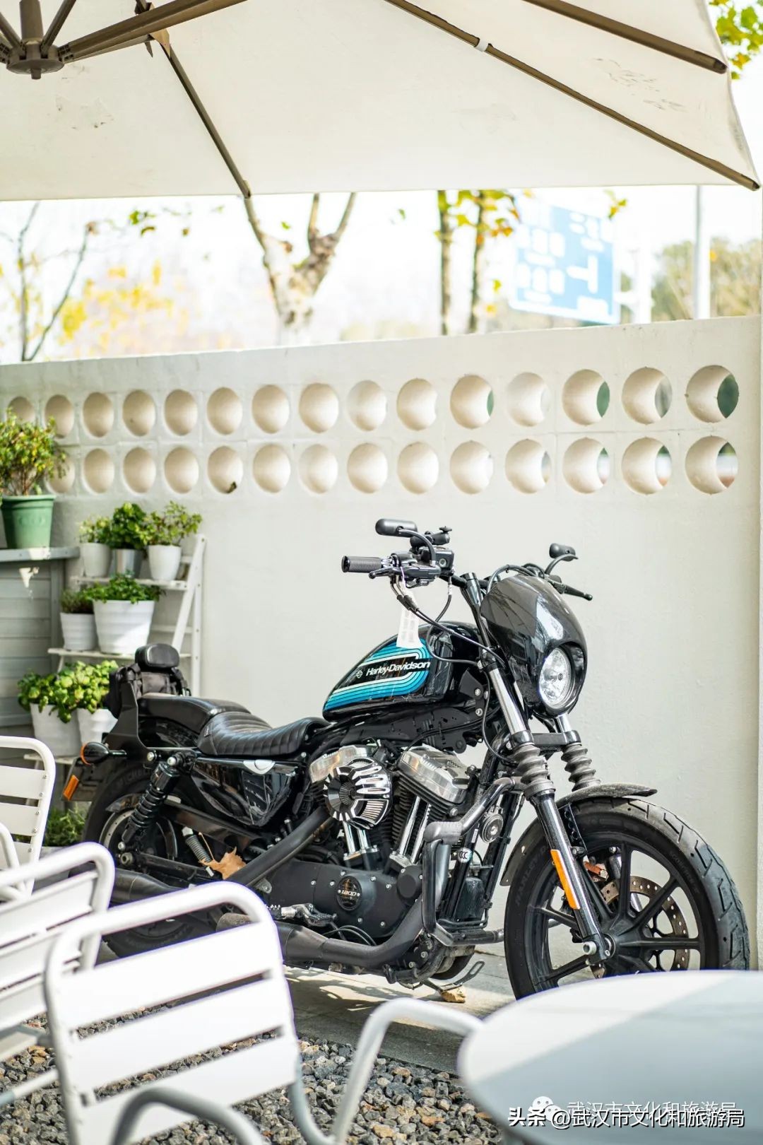 九月，秋风吹进武汉人的小院