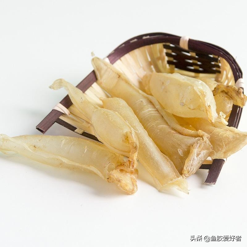 收藏版：全网最全的鱼胶品种，鱼胶品种这么多，你都认识吗？