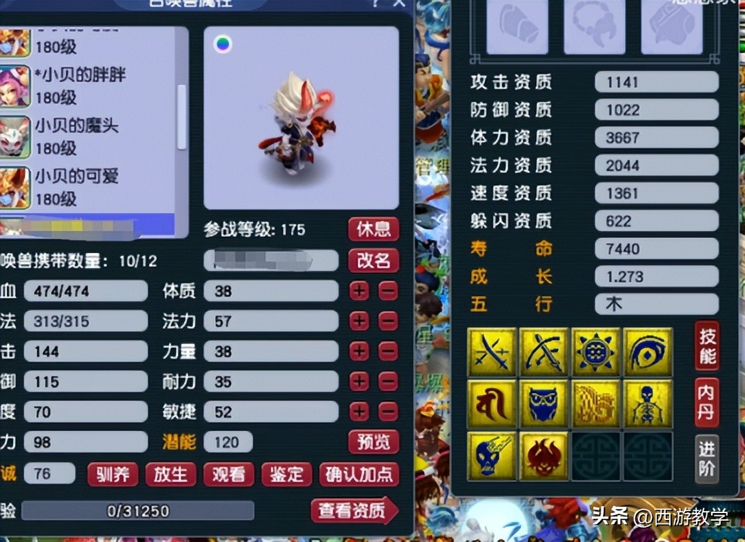 梦幻西游最新宝宝技能图鉴大全,梦幻西游155级号140次宝图就出20张