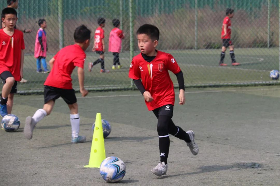 麒志专访|蓉城弘纳，用坚持“城”就希望