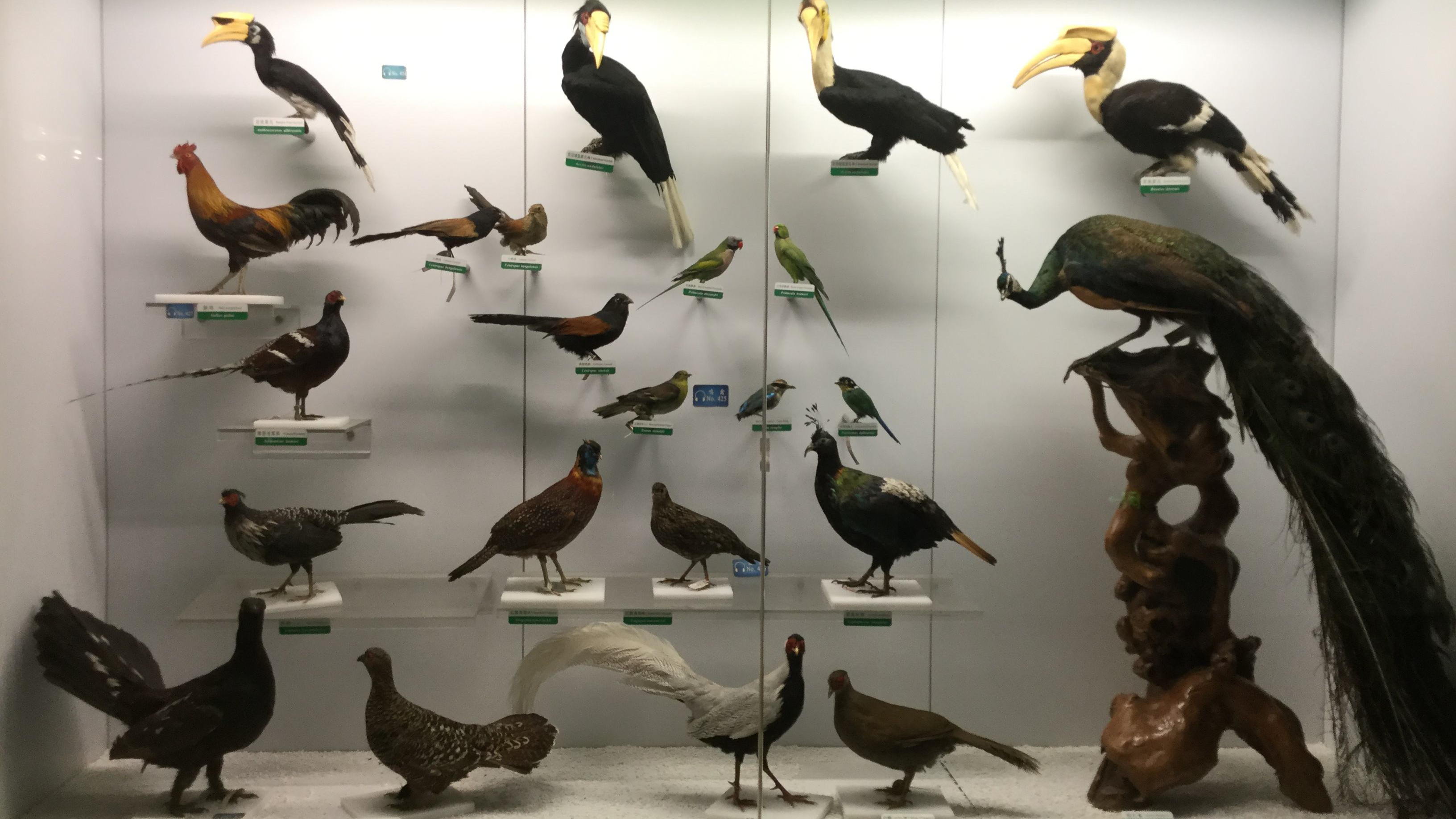 中国古动物博物馆预约公众号,古动物博物馆网上预约门票吗