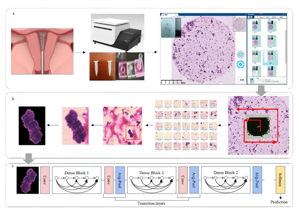 仅一年，中国406.4万人患癌！西安交大连出癌症防治硬核成果，引发国际关注！