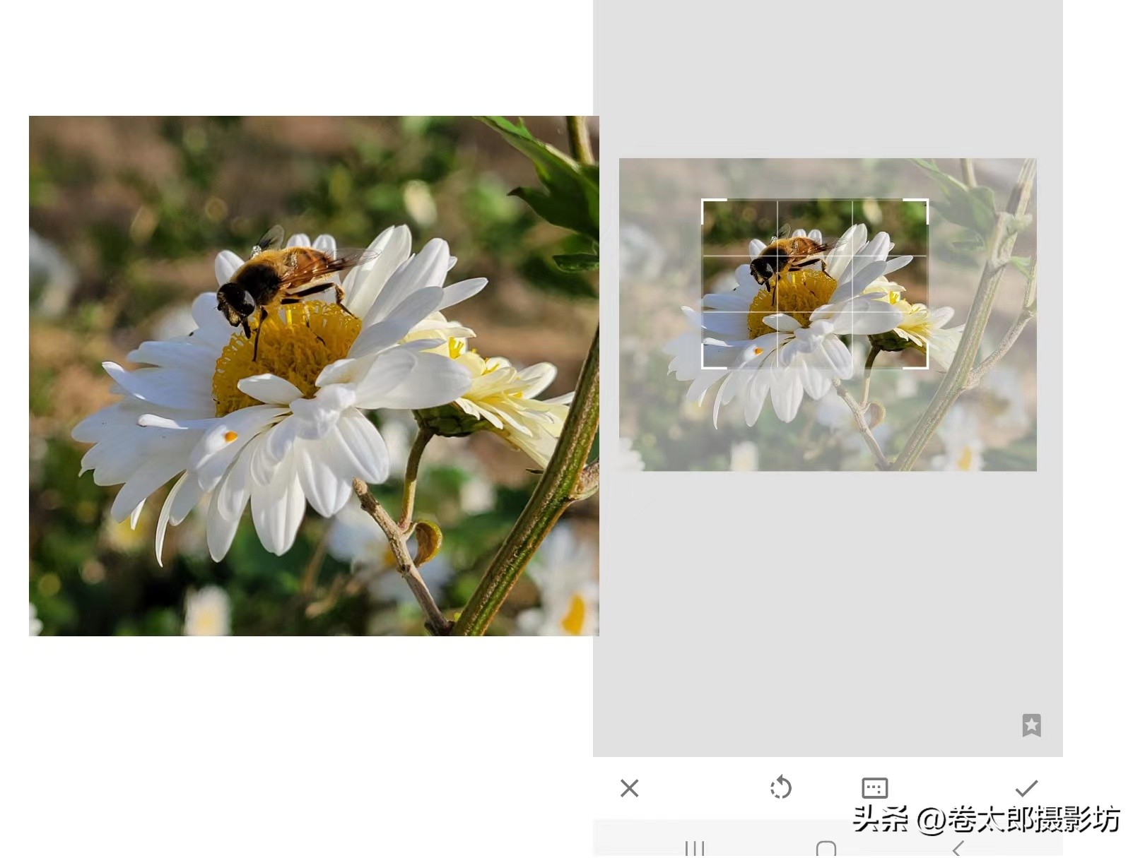 手机摄影后期修图教程,手机拍照后期修图