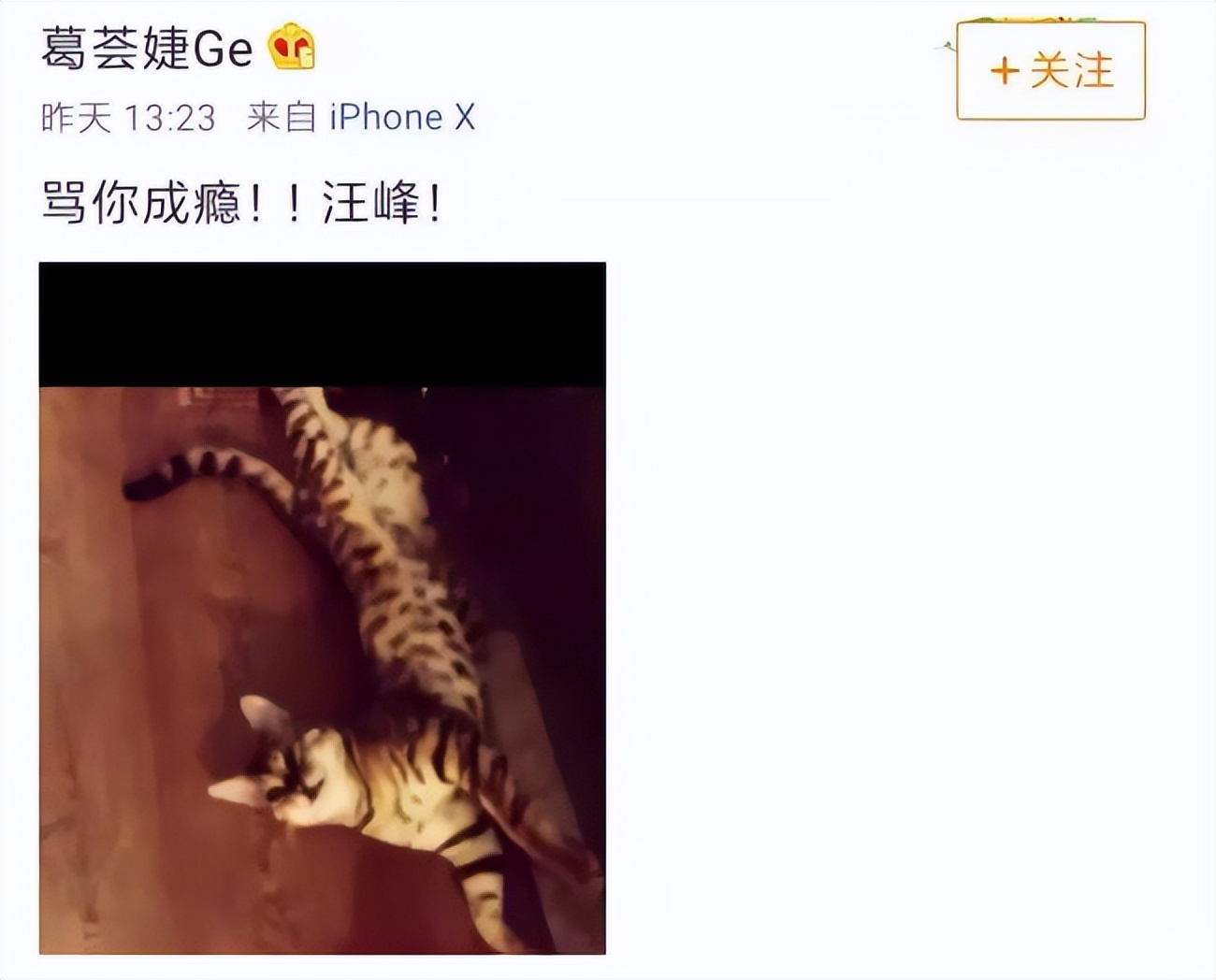 葛荟婕和汪峰的爱情故事,葛荟婕对汪峰的感情