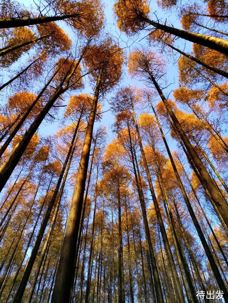 国庆节想避开旅游人潮？快看这7个人少景美的小众旅行地！