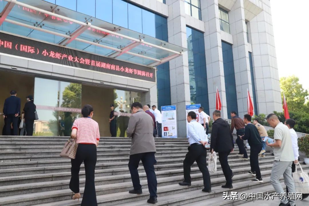 2023年南县小龙虾价格行情,南县小龙虾价格报价