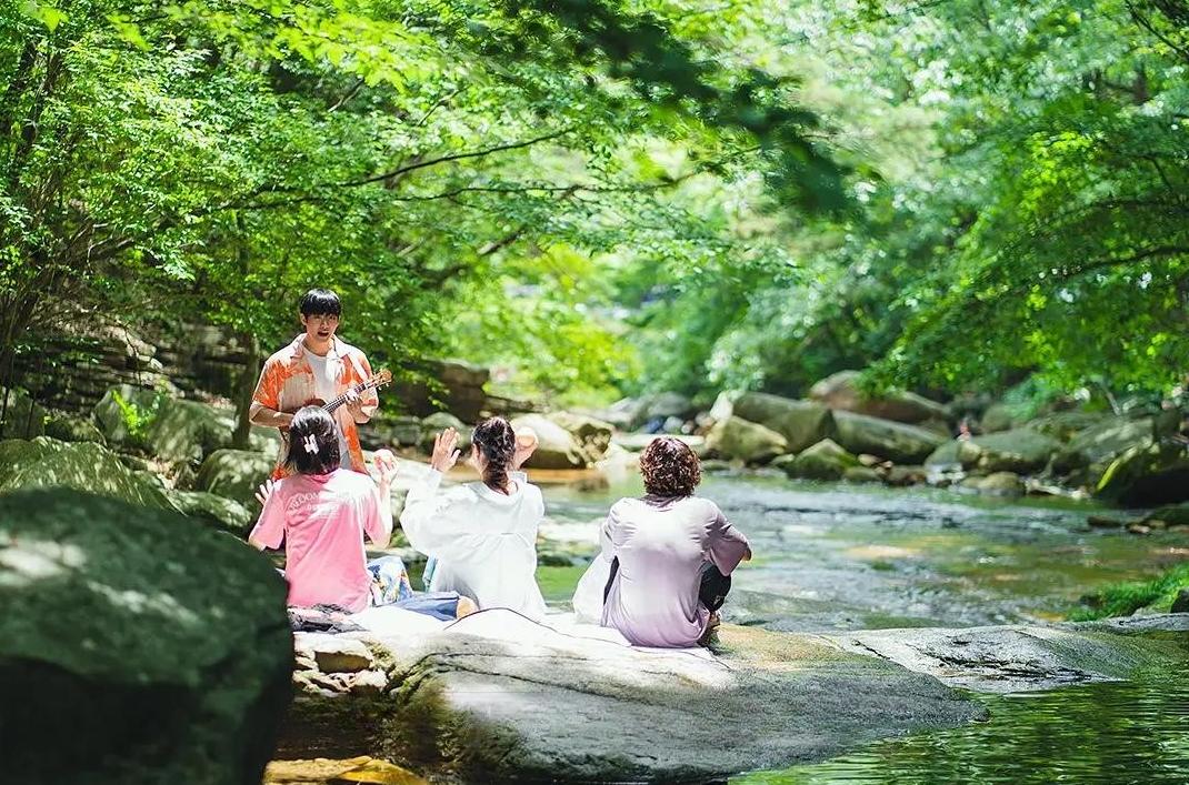 三得利低糖乌龙茶18瓶,三得利乌龙茶和买的乌龙茶一样