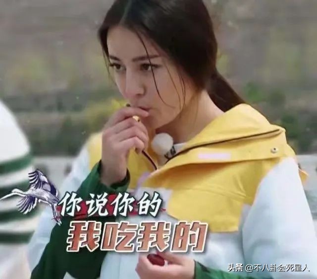 明星隐瞒真实学历被揭穿事件,明星被爆学历造假