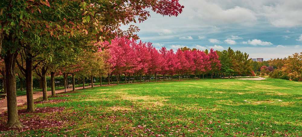 额尔古纳河右岸免费听书,额尔古纳河右岸免费阅读