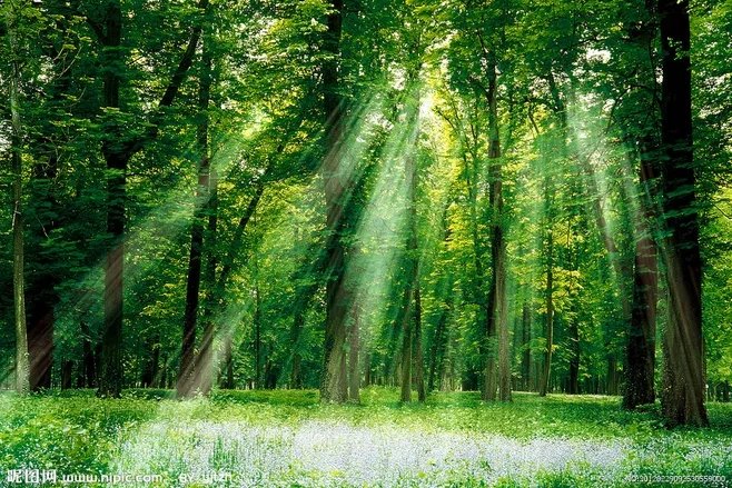 初春最美的十首诗词,春日美景最经典诗词