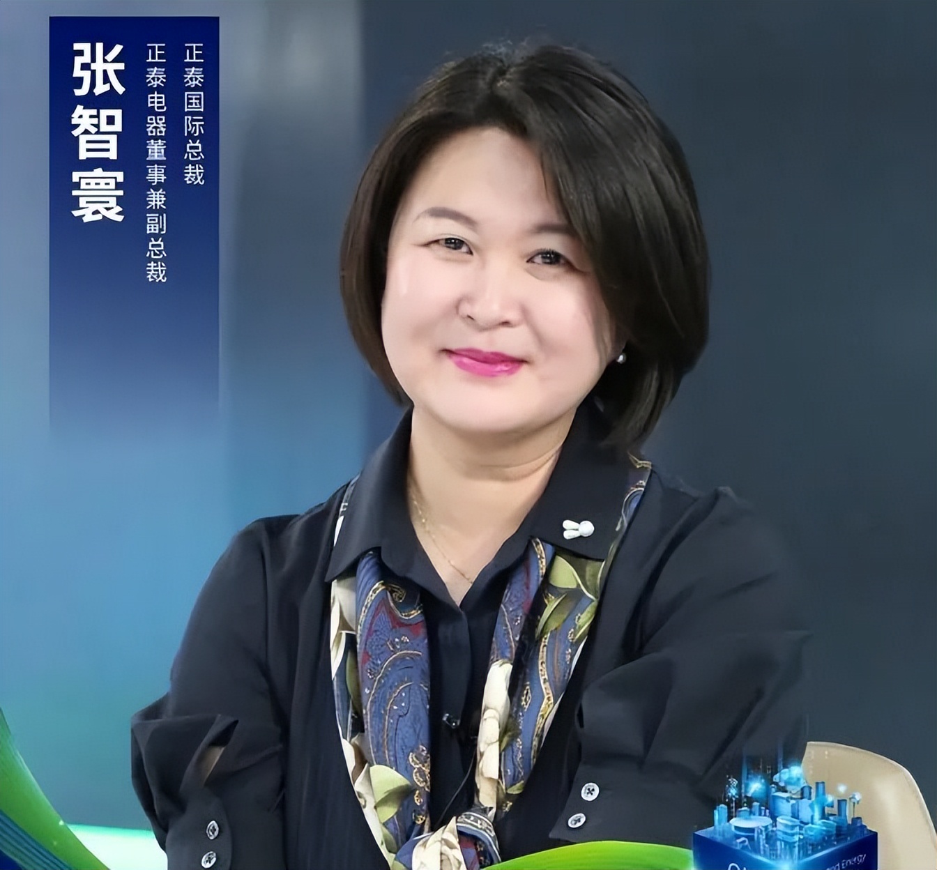 正泰电器副总张智寰,正泰电器张智寰与南存辉关系