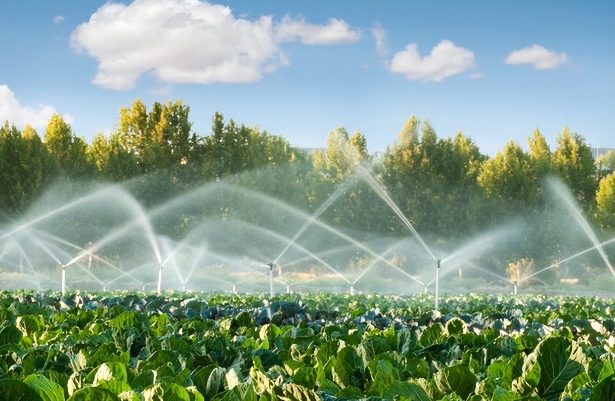 如何通过政策支持农业可持续发展,农业可持续性发展的理论与实践