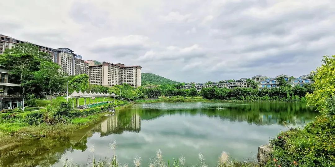 30秒带你认识信丰,一分钟带你认识东莞