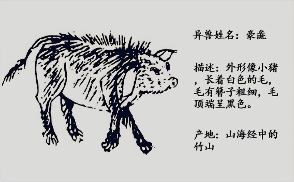 妖怪名单500集,妖怪名单第51集完整版