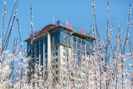 南京航空航天大学第几批,南京航空航天大学自主研制的卫星