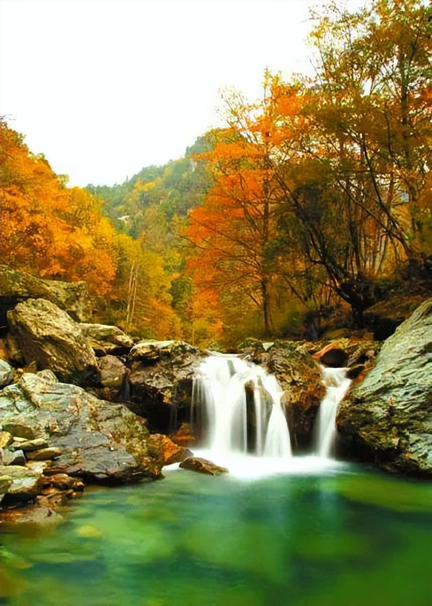 【散文】妩媚青川‖张泽