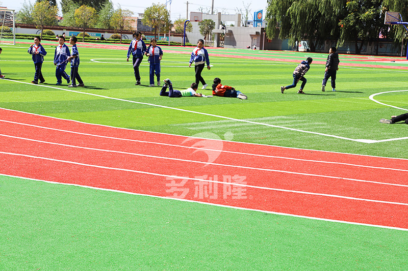 免填充足球草坪专利,没有草皮的足球场