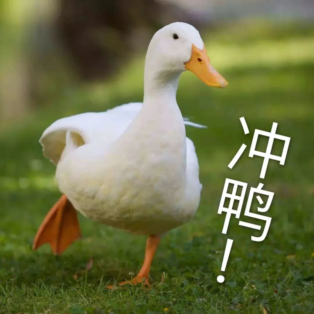 前端静态页面练习项目,前端做静态页面应该满足什么要求