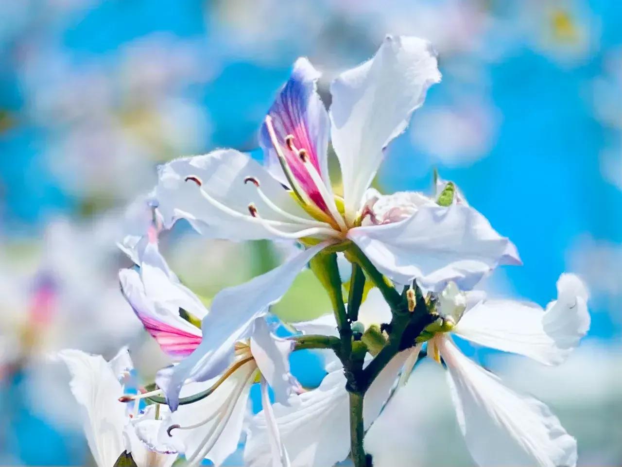 退休后的女人在家该做什么,女性退休之后该怎样生活