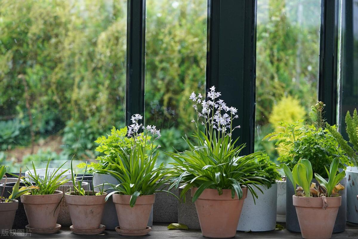 有什么不起眼却赚钱的生意,哪些不起眼又很赚钱的工作