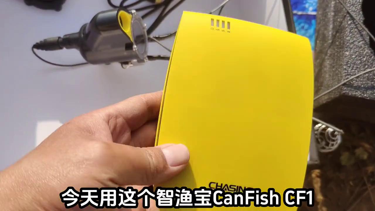 天元鲫pk蓝鲫水底视频,天元鲫pk深海元素