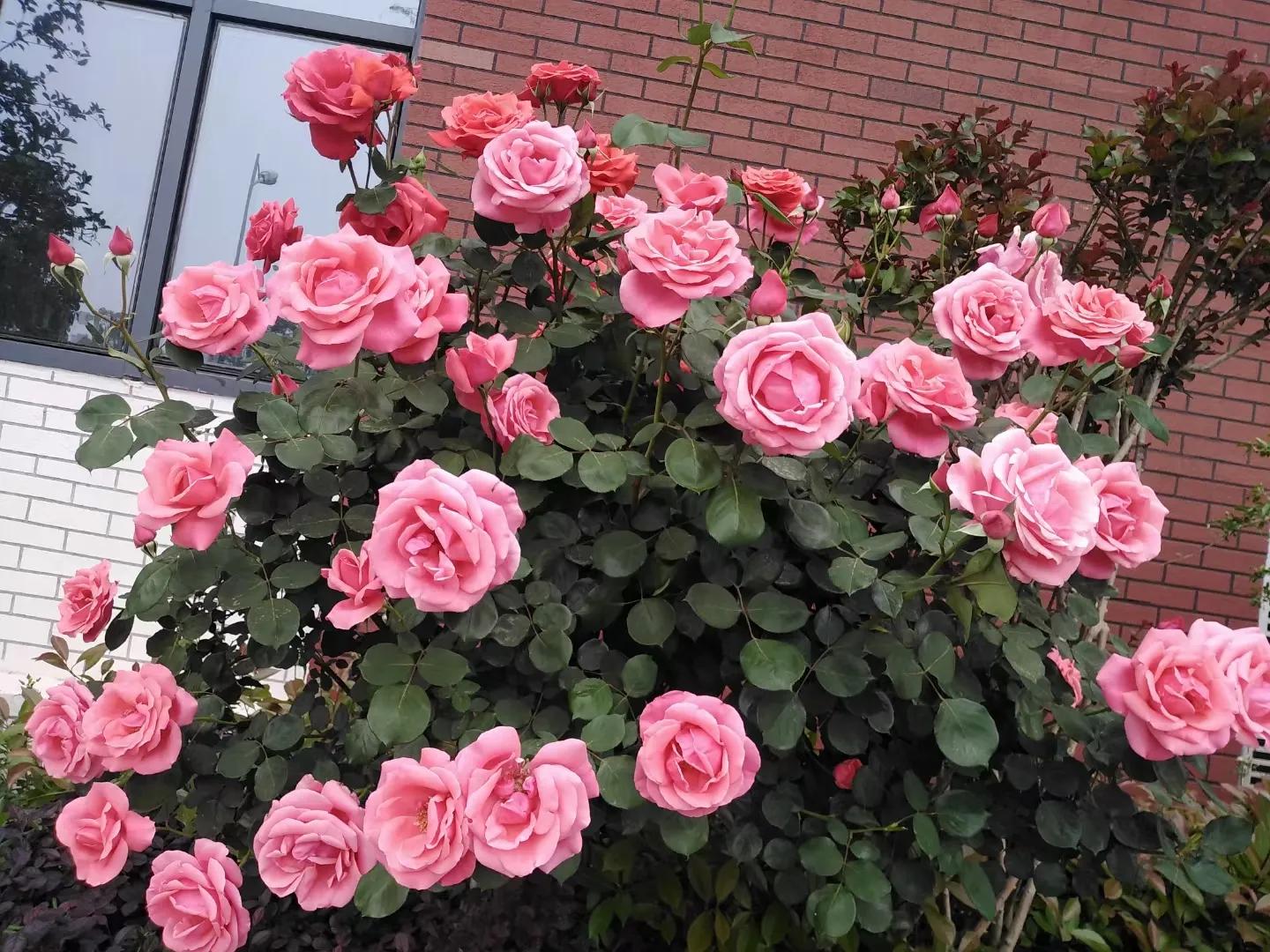 道路损坏赔偿是否缴纳增值税