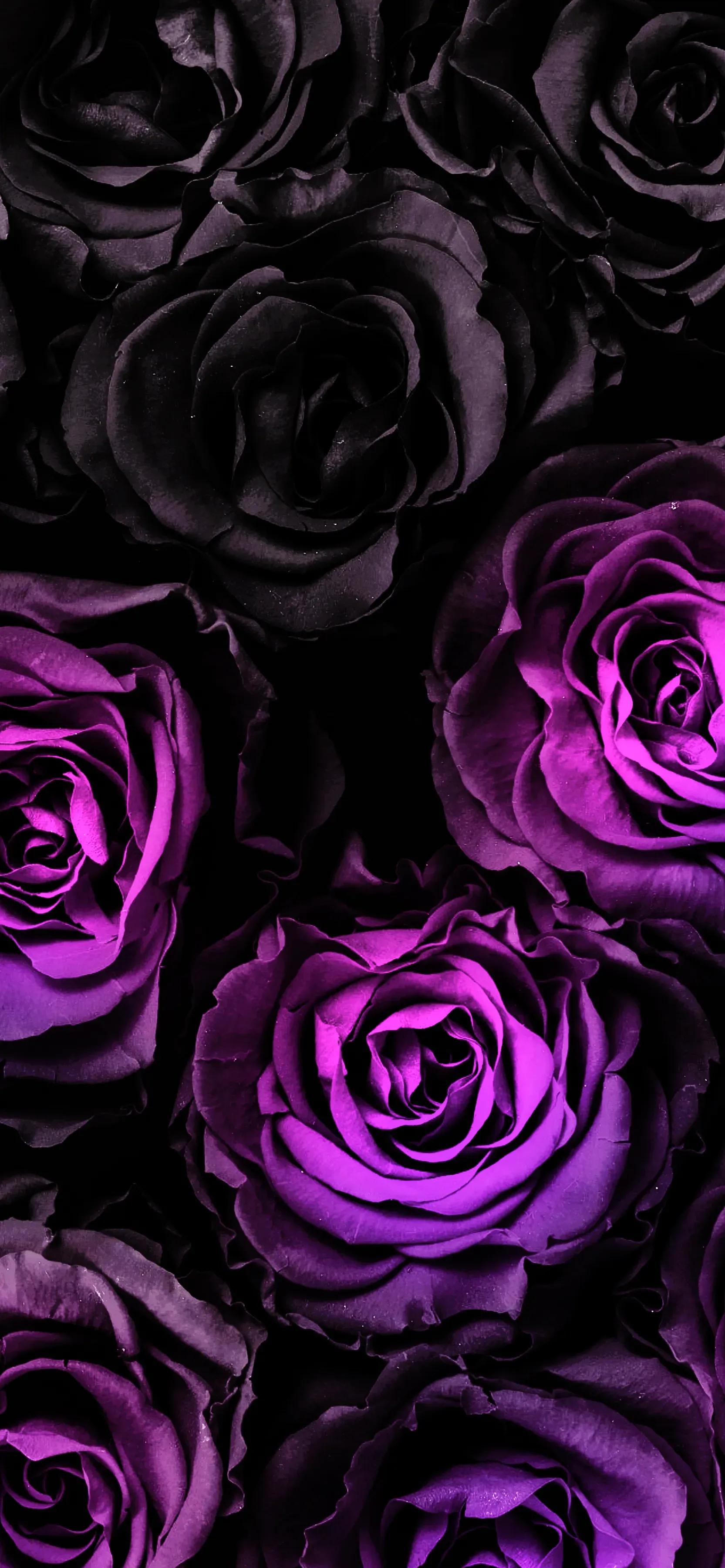 高清全面屏手机壁纸,米奇壁纸高清全面屏