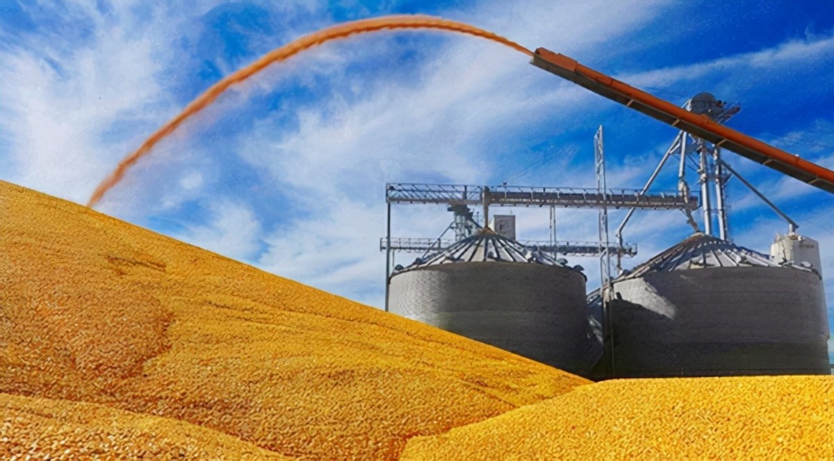 美国粮食比中国的便宜吗,美国与中国粮食产量对比