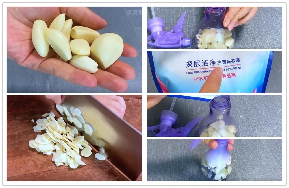 家里蟑螂少用哪种蟑螂药,家里蟑螂多不要踩