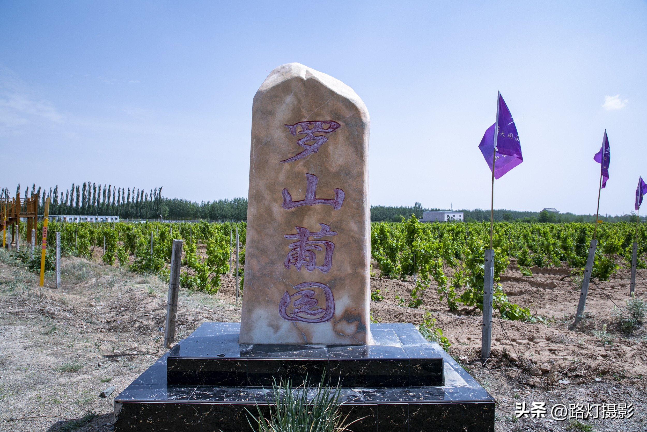 打卡世界级白酒庄园,打卡世界级白酒红酒