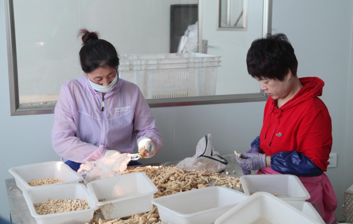 让农民春耕“不差钱”将服务扎根地垄沟——吉林银行用金融“活水”灌溉致富秧苗