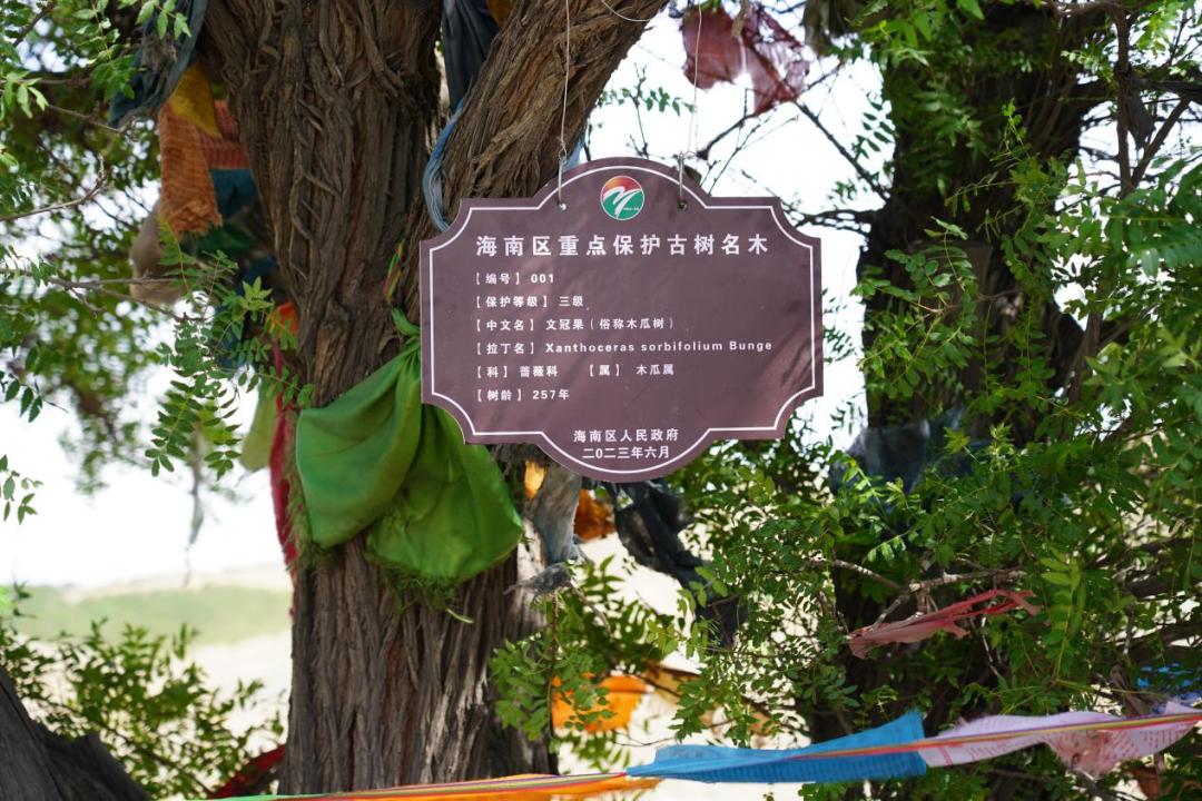 央媒网友热议,央媒密集关注点赞福建