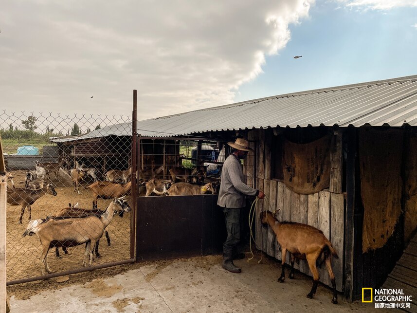 在一个小岛上种地卖菜是什么游戏,在一个岛上种地