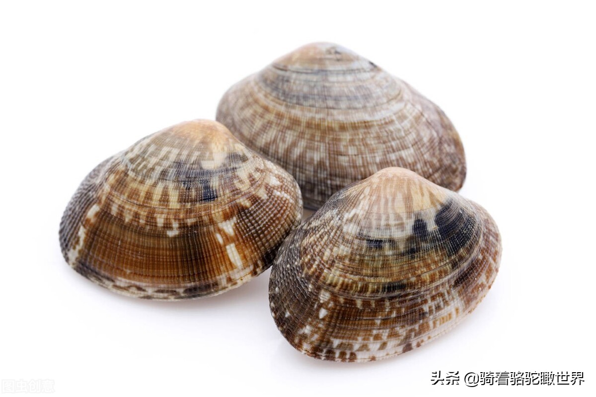 厦门彩虹沙滩赶海地方推荐,厦门鼓浪屿和彩虹沙滩