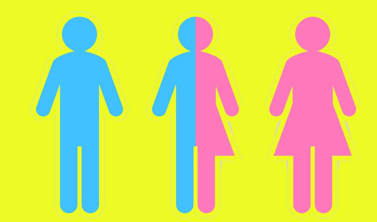 欧洲的性别有多少种,欧洲有几个性别