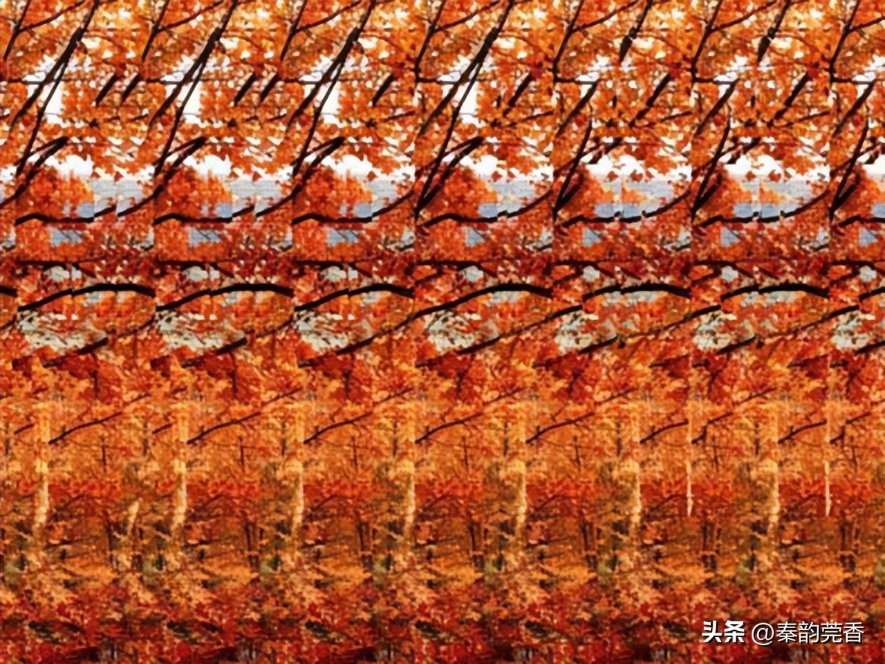 三维立体图怎么才能更快的看出来,怎么看三维立体图大全