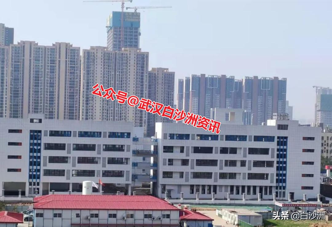 武汉白沙洲致远小学电话,武汉白沙洲致远小学学费多少