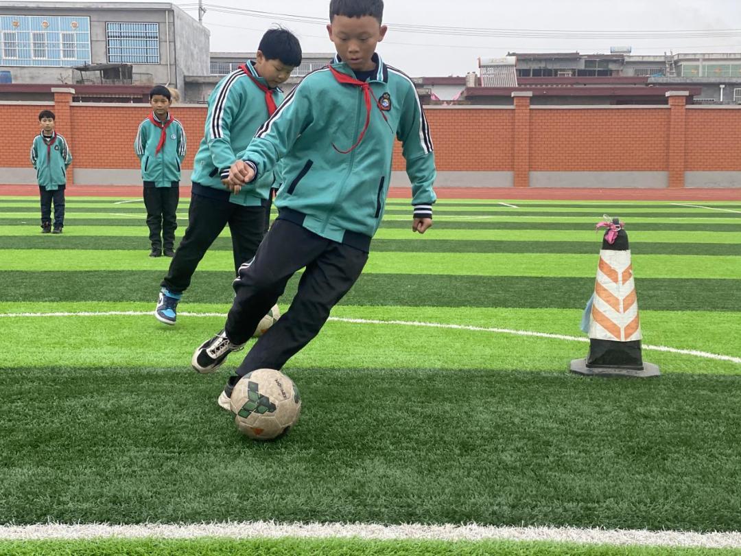 临沂市新桥小学怎么样,临沂新桥小学2022年