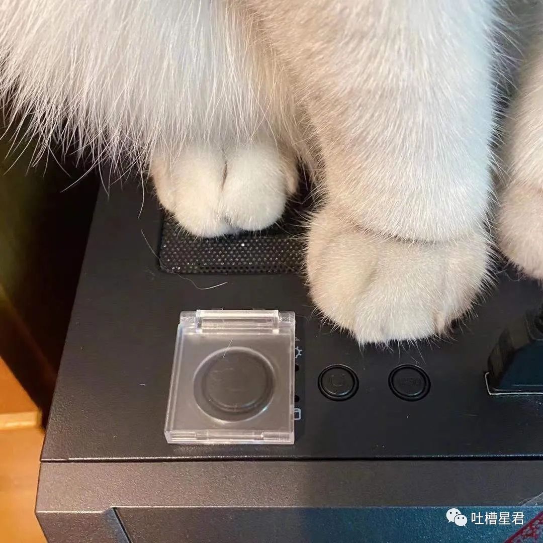 “男友花8150买包包，拆开后...”奢侈品不骗穷人！