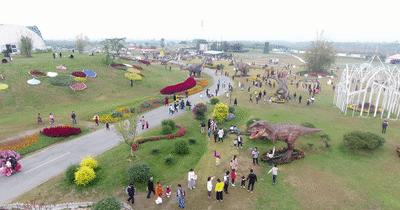 香草伊甸园景区最佳花开期,转发此文