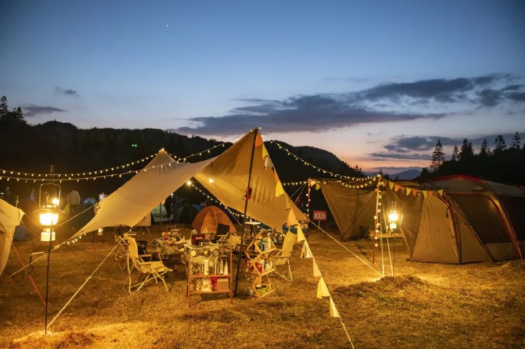 全球学子嘉游赣活动,全球学子嘉游赣活动真实吗