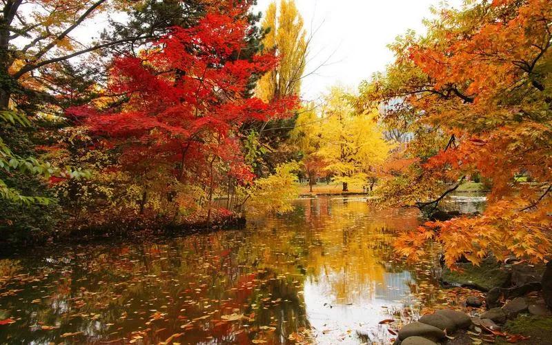 自由诗意：对《五排·晚秋感吟（平水韵/一东）》的注引解释