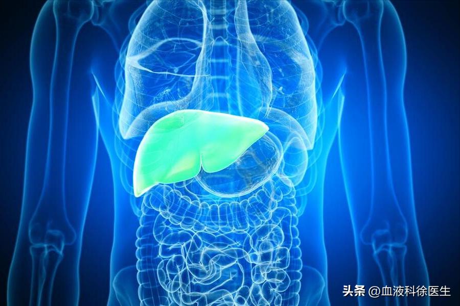 养肝护肝的早餐食谱,养肝护肝的早餐